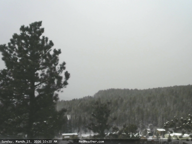 Nederland, Colorado Webcam photo