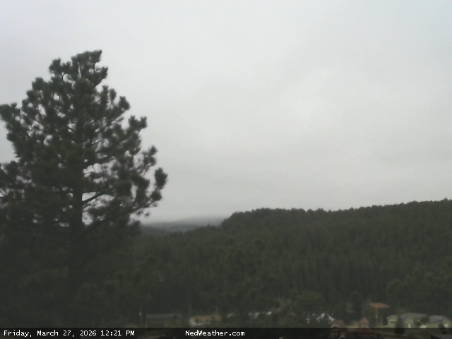 Nederland, Colorado Webcam photo