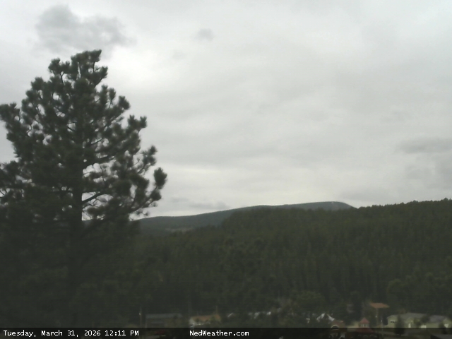 Nederland, Colorado Webcam photo