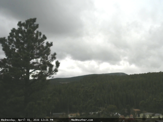 Nederland, Colorado Webcam photo