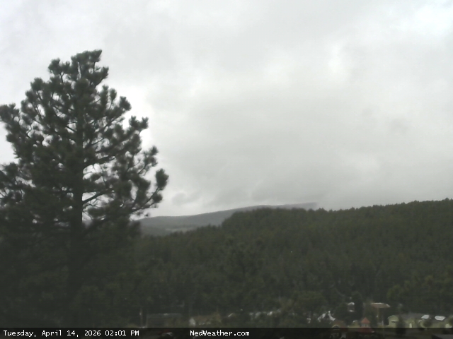 Nederland, Colorado Webcam photo