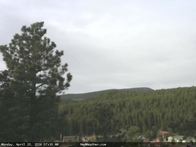 Nederland, Colorado Webcam photo
