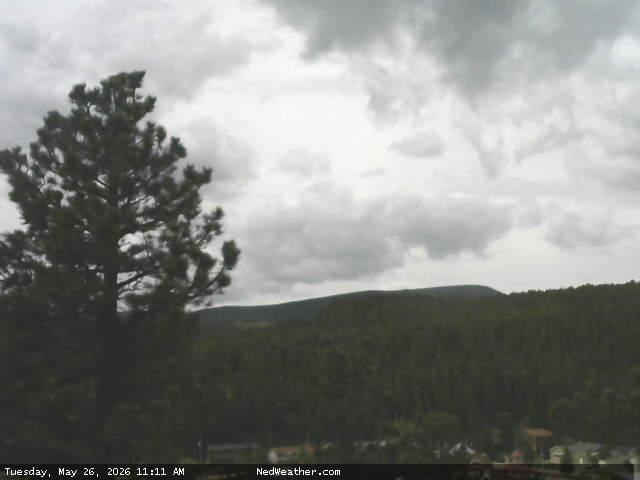 Nederland, Colorado Webcam photo